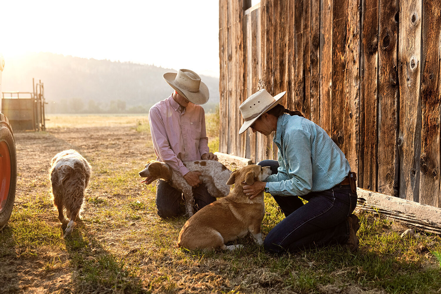 Oxbow good dogs